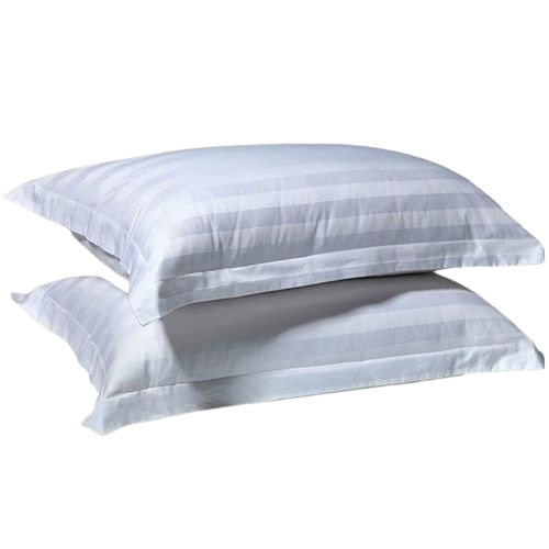 Large Cozy Pillows (2 Pieces) Satin Texture Design Cotton Pillows Wite