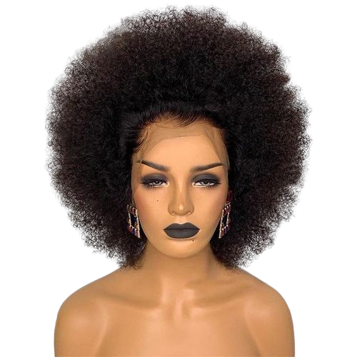 Short Afro Kinky Curly Hair Wig With Hairline - 13x4 Front Wigs For Black Women